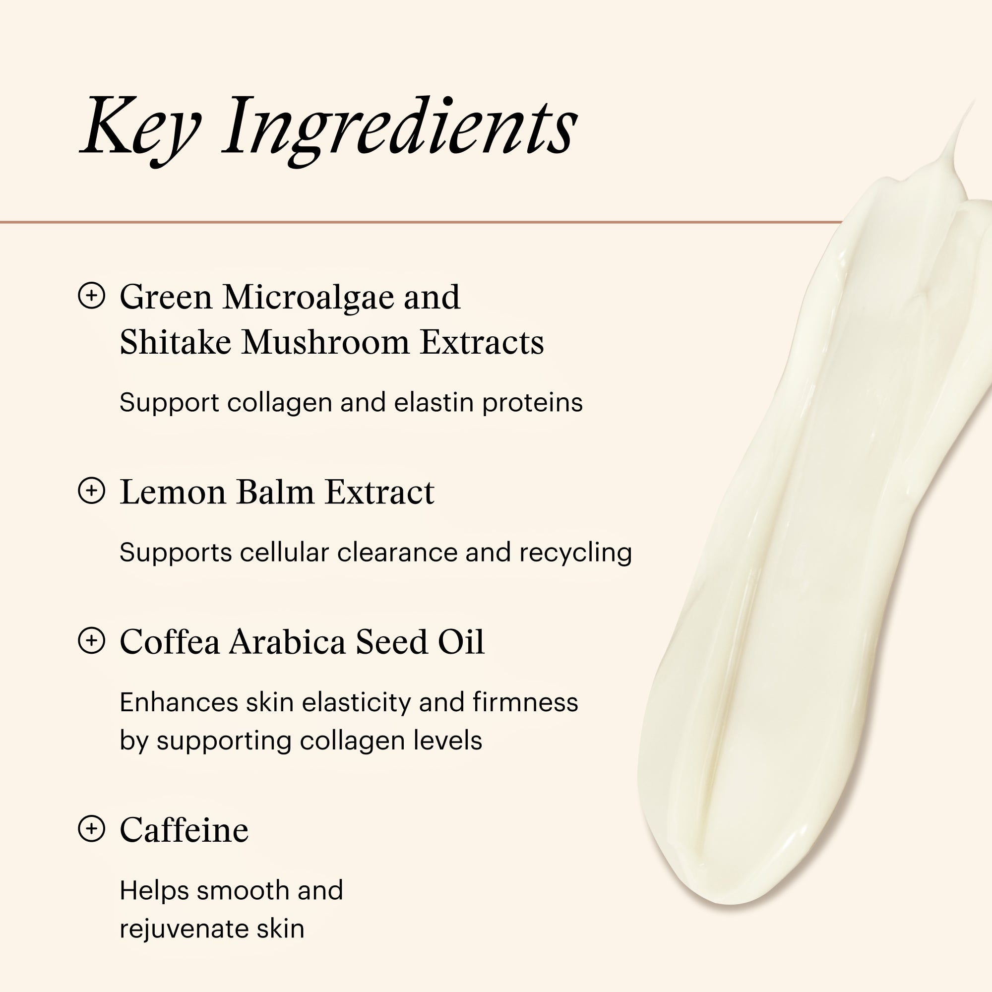 SkinMedica Firm & Tone Body Lotion (6 oz).