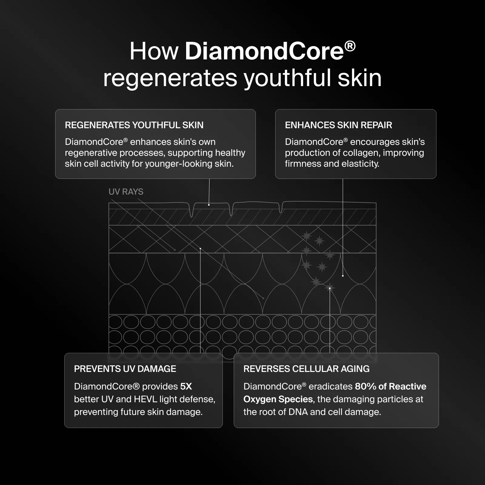 Pavise Advanced Core Protocol - Simplified.